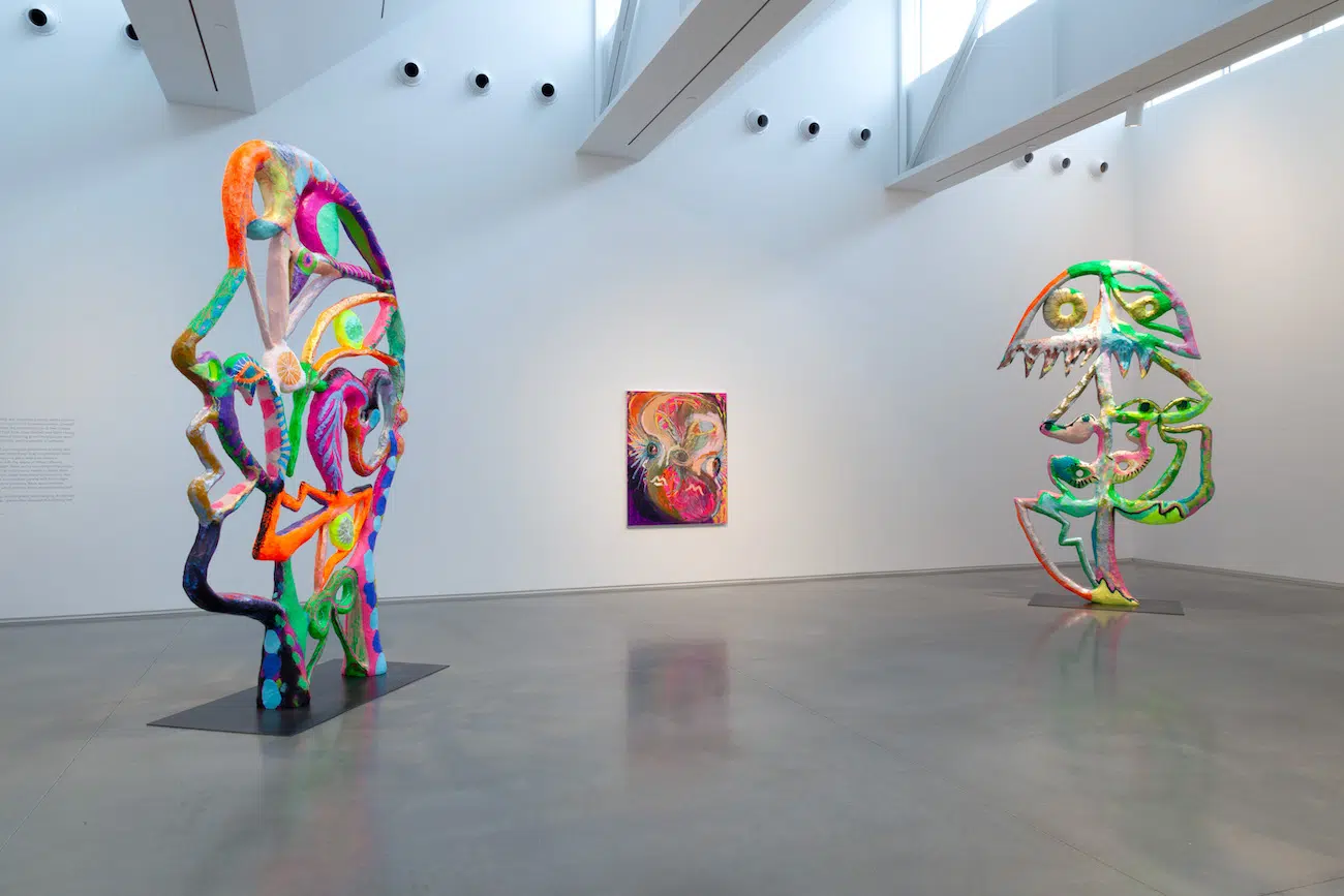 Installation View of Bianca Beck's Eyes at Center for Maine Contemporary Art