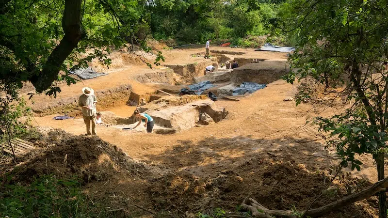 Excavation of 400,000-year-old pond sediments at Barnham, Suffolk.