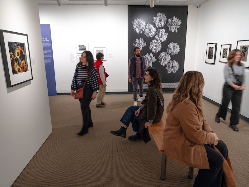 Installation view of Edward Steichen and the Gardens at the George Eastman Museum