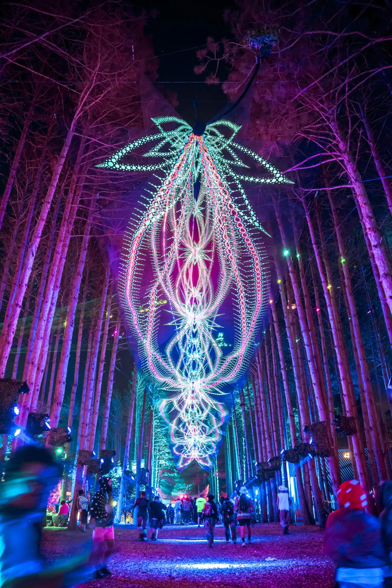 2026 Electric Forest Music Festival held in Rothbury, Michigan on June 25, 2026. (Photo by ALIVE for Electric Forest)