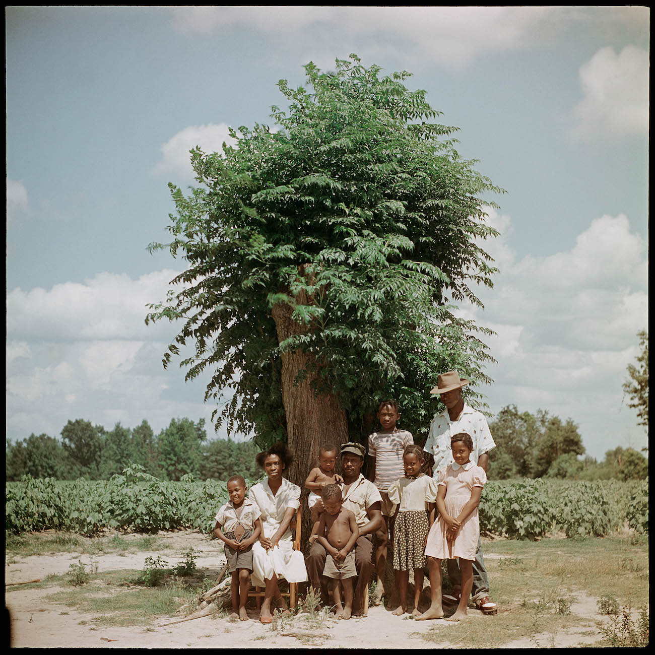 Gordon Parks. Untitled, Shady Grove, Alabama, 1956, archival pigment print, 28 x 28 inches 