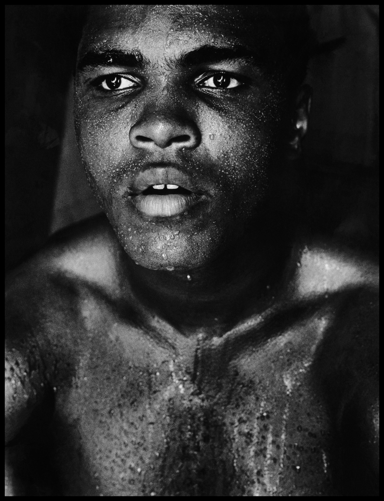 Gordon Parks. Muhammad Ali, Miami Beach, Florida, 1966, gelatin silver print, 60 x 40 inches (print) 