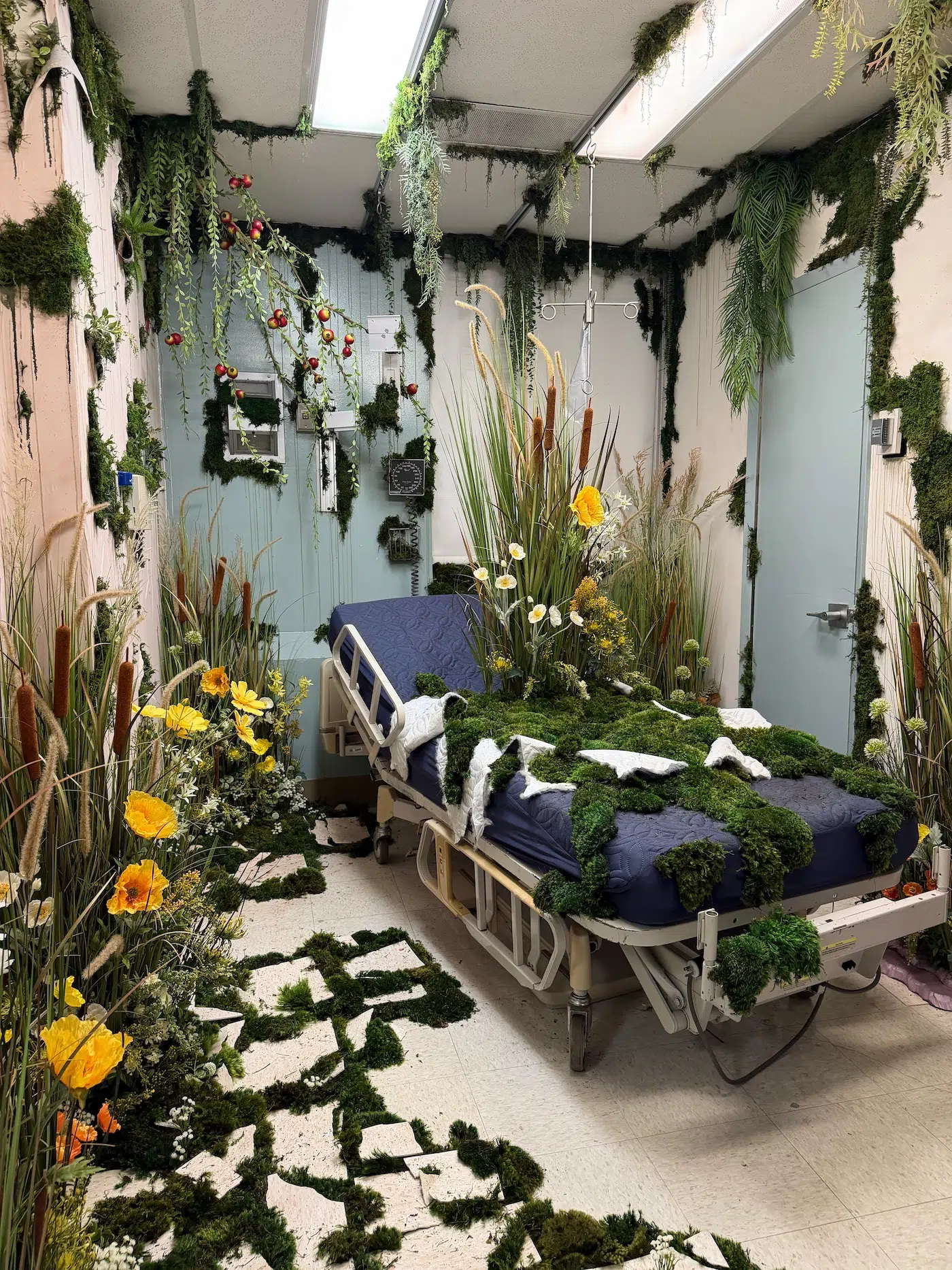 Hospital of Emotions