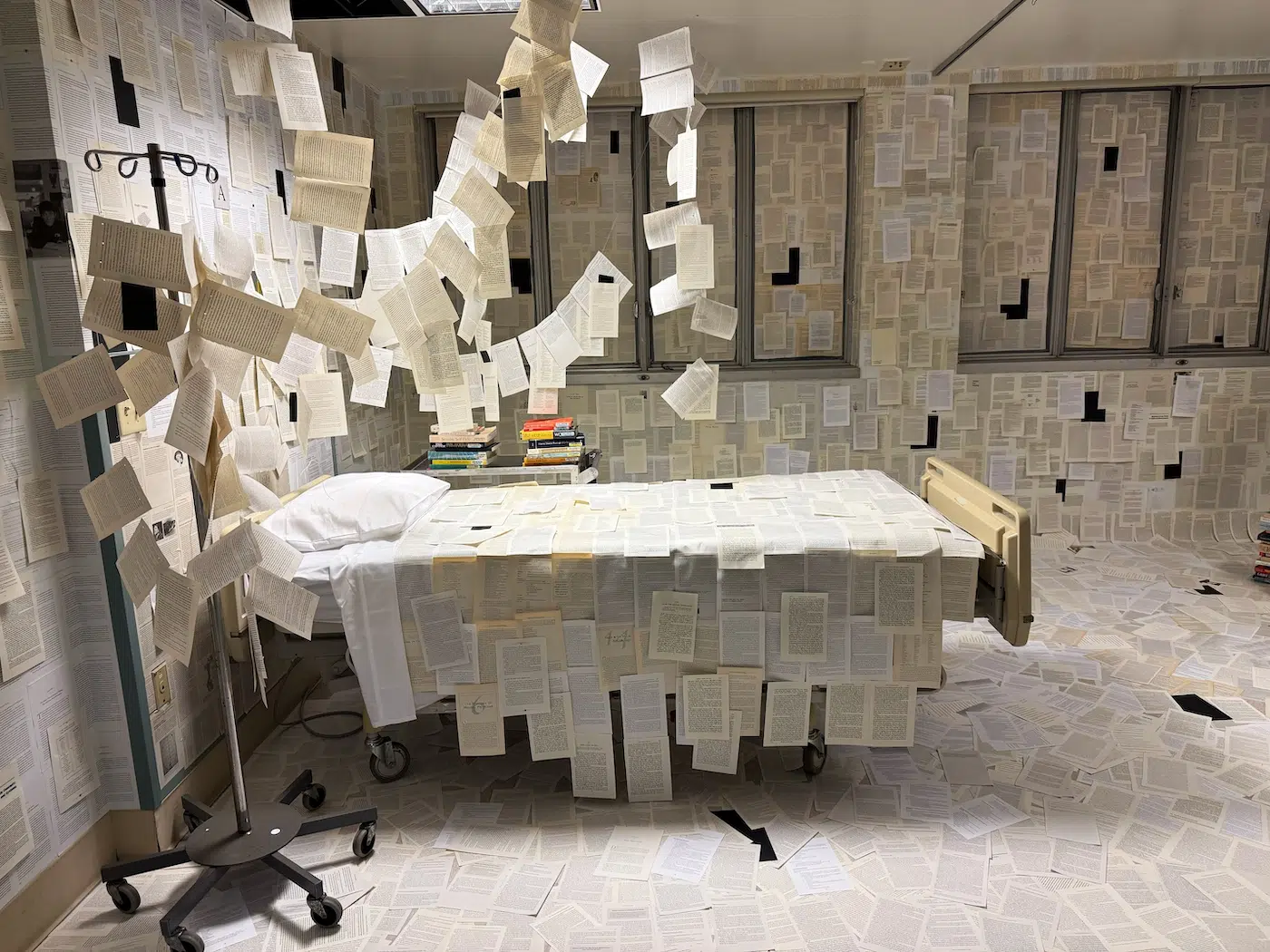 Hospital of Emotions