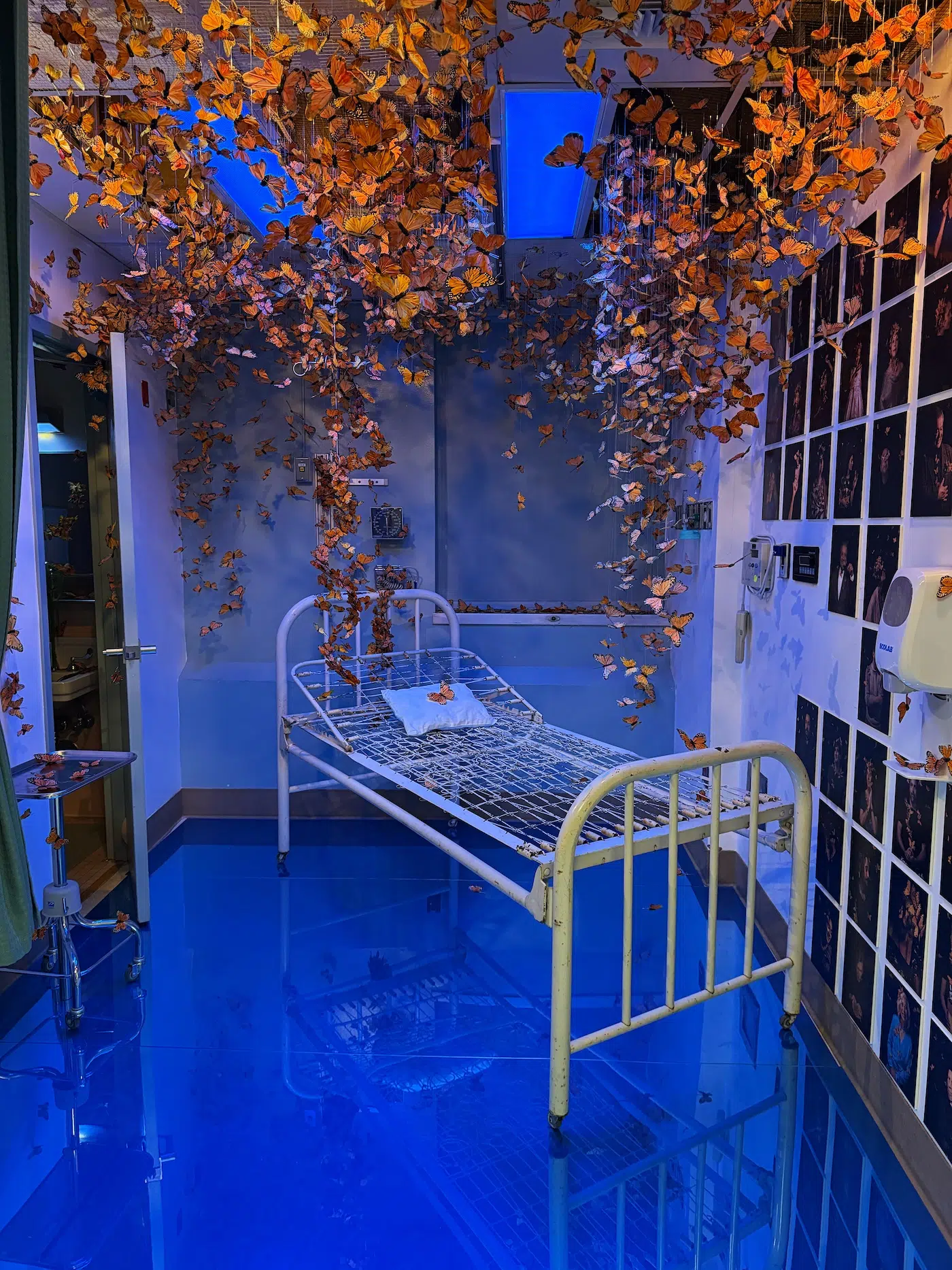 Hospital of Emotions