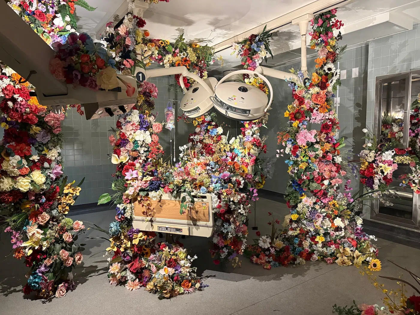 Hospital of Emotions