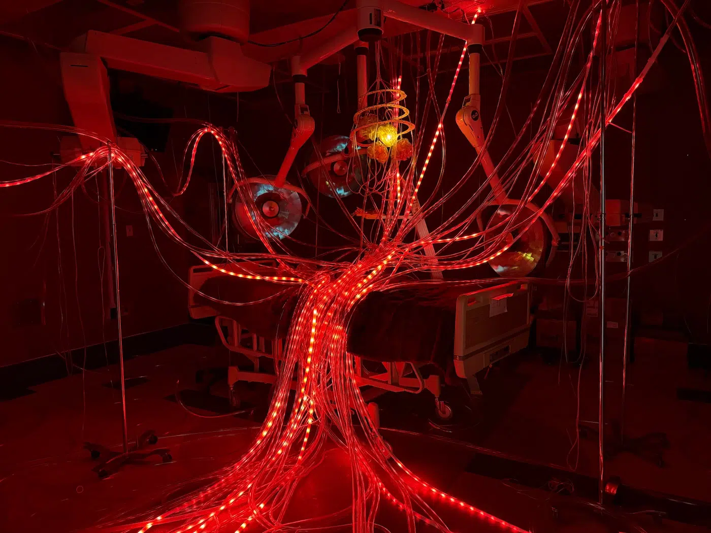 Hospital of Emotions