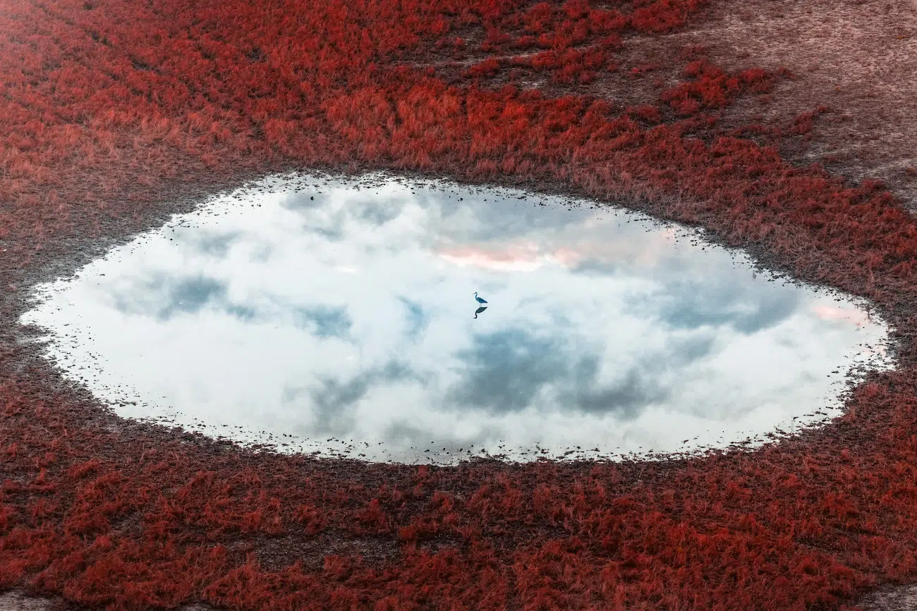 Vitaly Golovatyuk, Russian Federation. Birdie in the Sky. Birdie is sitting on the water of a tiny, crystal clear lake with reflection of the sky and surrounded by red grass, somewhere in Dongtai.
