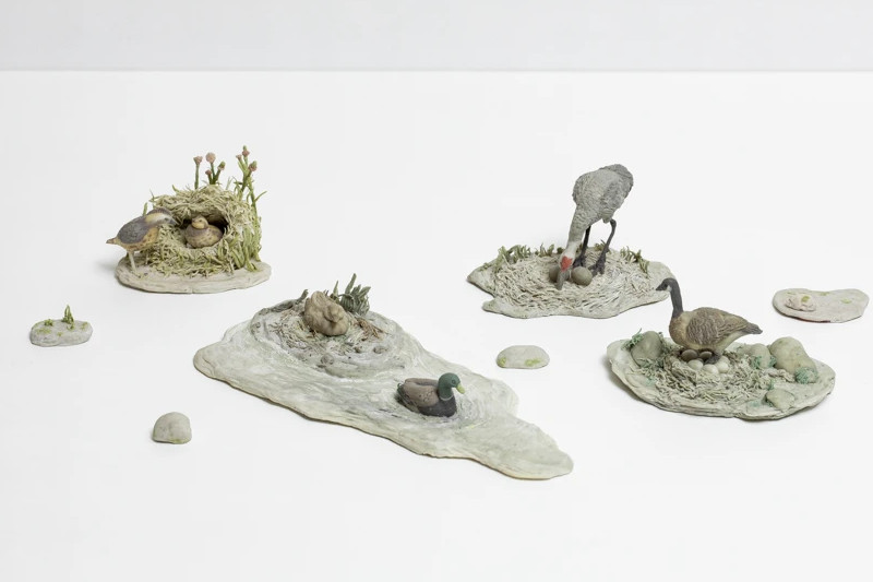 Eraser shaving sculptures of birds by Irie Saya