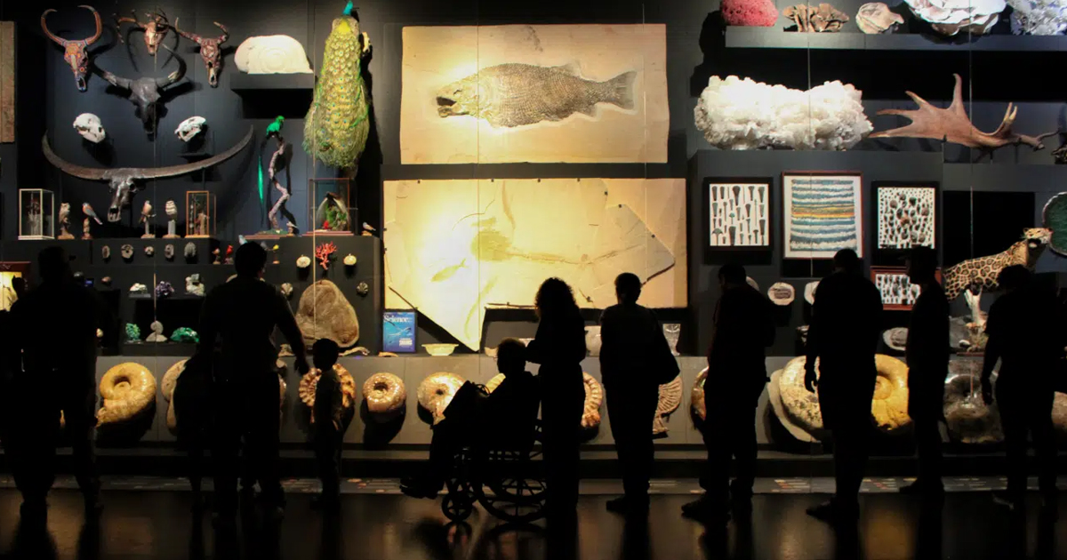 One Man’s Eccentric Collection Housed in a Replica of His Home in Monterrey, Mexico