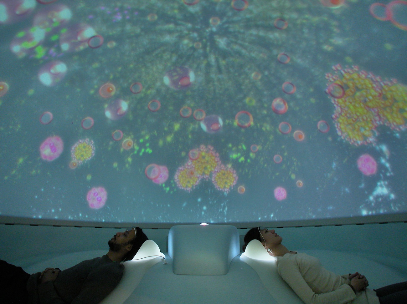 Experiential art exhibit.