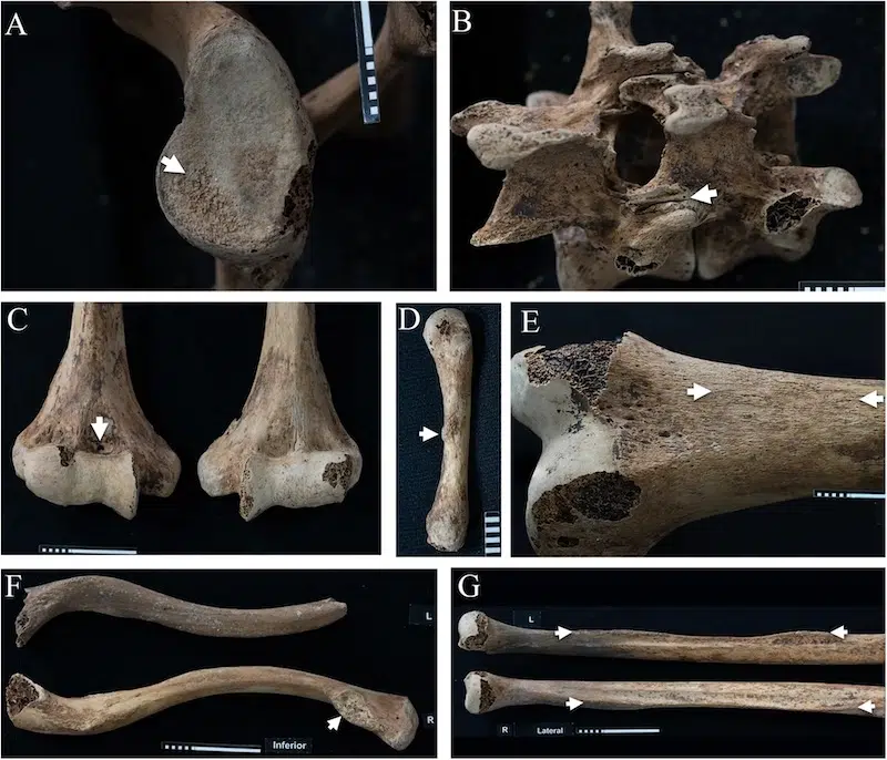 Bones of Pharoah's Daughters in Ancient Egyptian Tomb