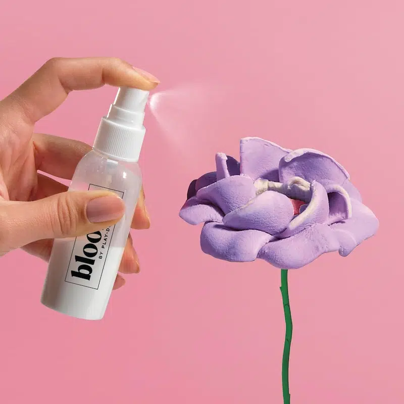 Play-Doh Blooms Kit tools. 