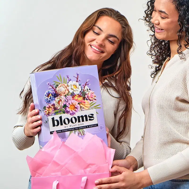 Play-Doh Blooms Kit
