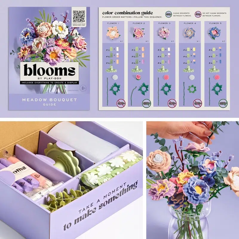 Play-Doh Blooms Kit