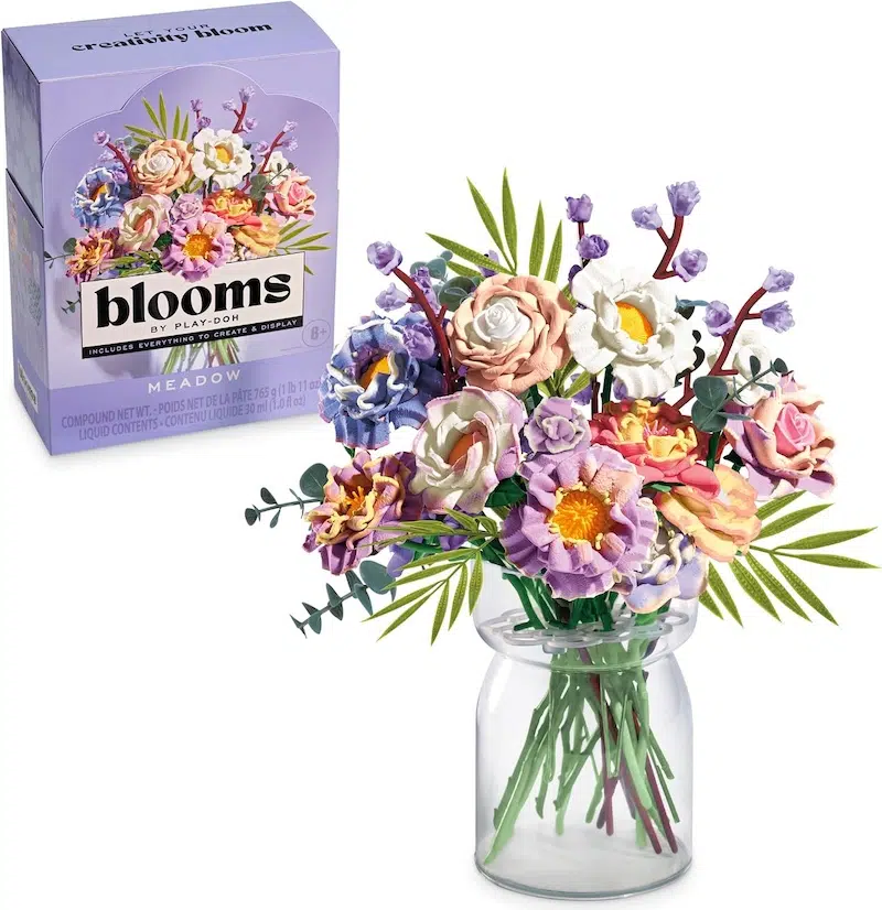 Play-Doh Blooms Kit
