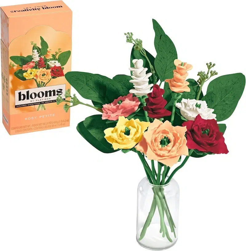 Play-Doh Blooms Kit