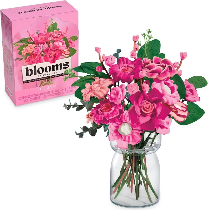 Play-Doh Blooms Kit