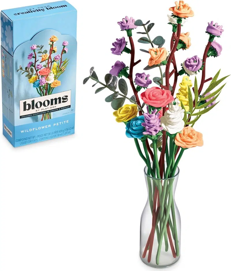Play-Doh Blooms Kit