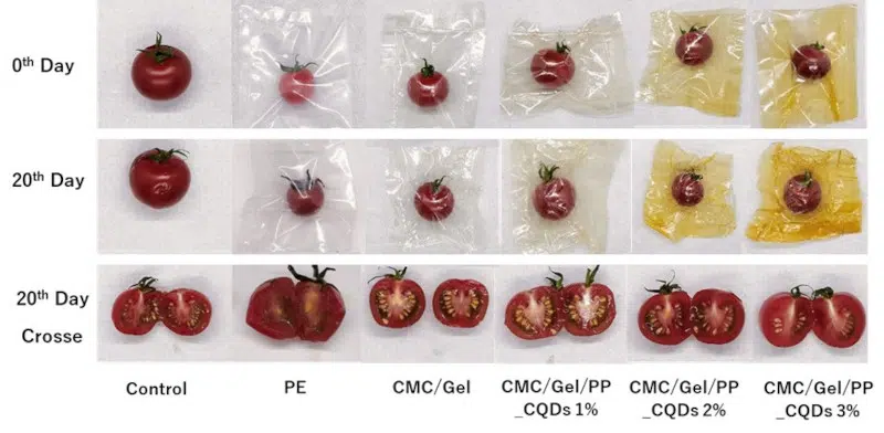Images from study showing performance of pumpkin peel for food preservation
