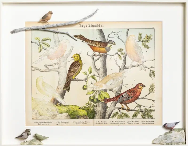 Conirostris bird sculptures made of erasure shavings by Saya Irie