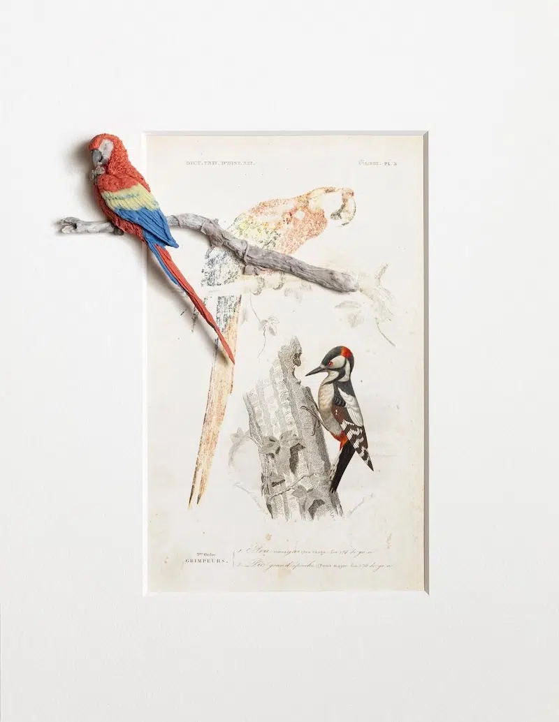 Macaw bird sculpture made of erasure shavings by Saya Irie