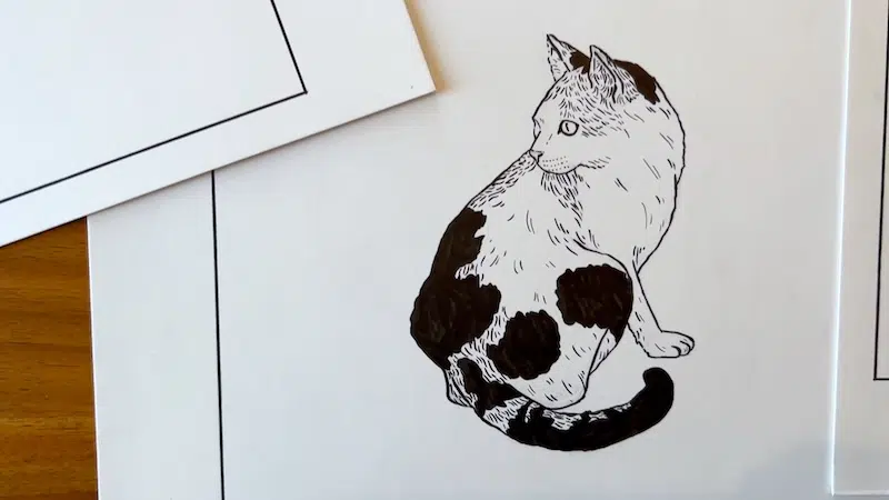 Ink Drawing of Cat