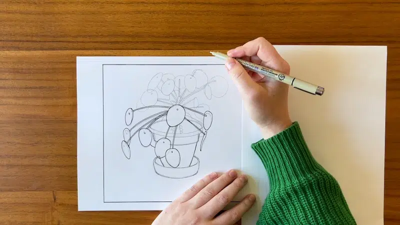 Ink drawing of a plant