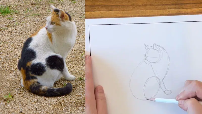 Side-by-side photo a cat and a drawing of the cat
