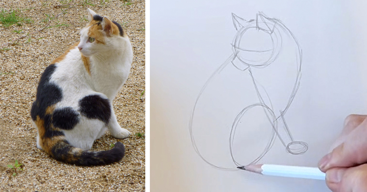 Learn How To Draw Anything Using 3 Simple Shapes