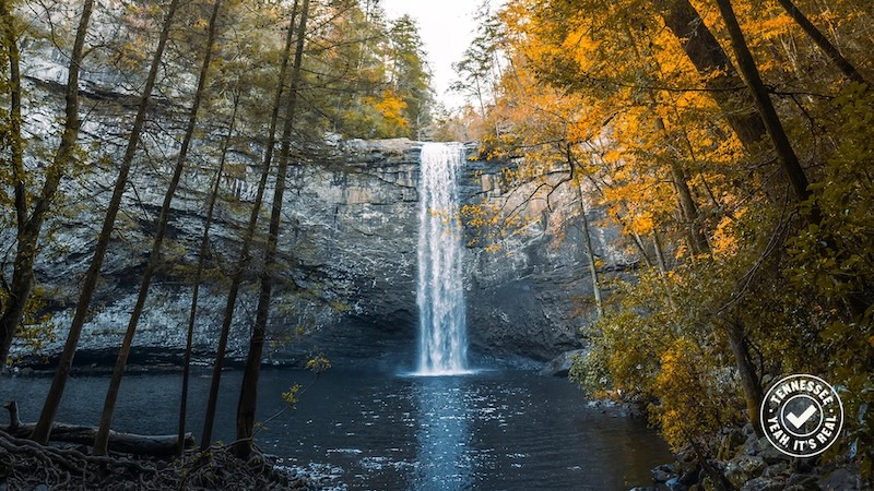 Foster Falls waterfall