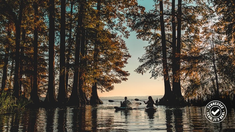 Reelfoot Lake State Park