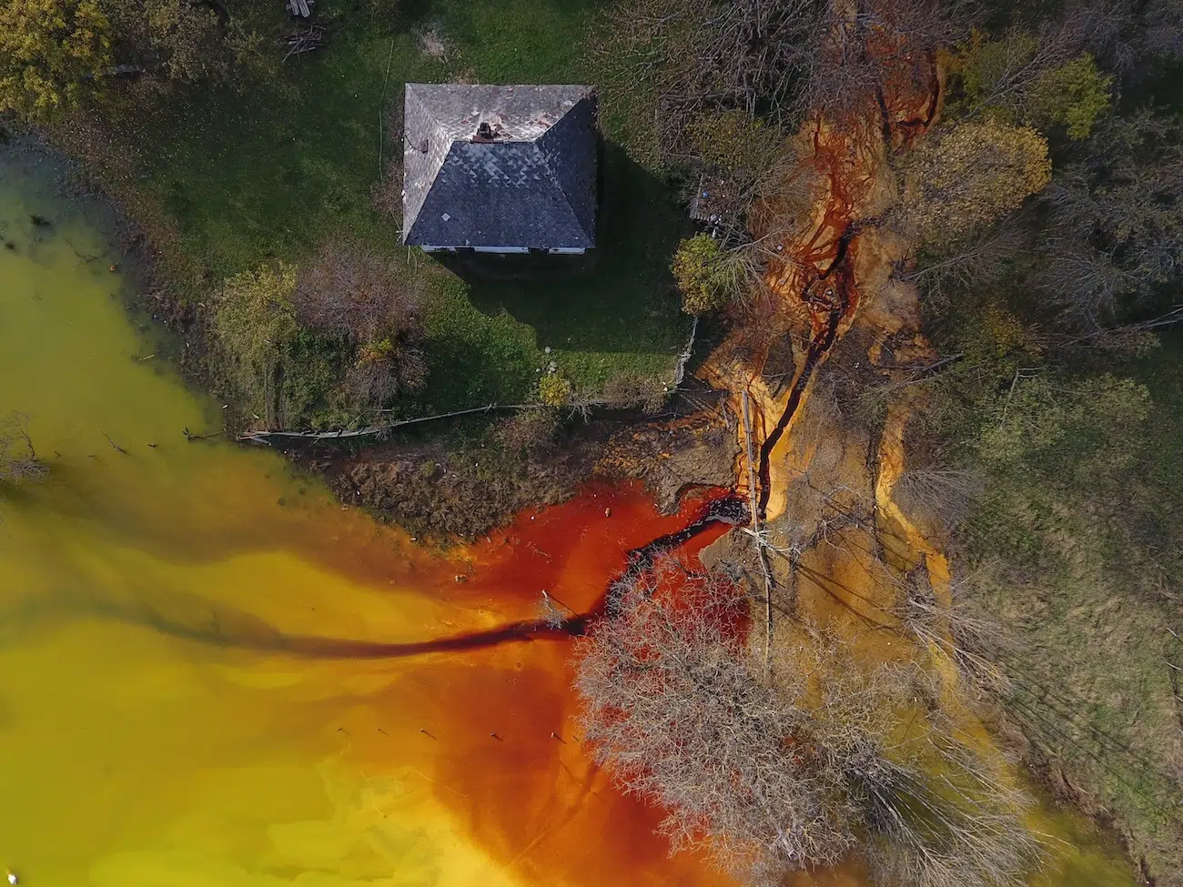 Image of polluted yard.