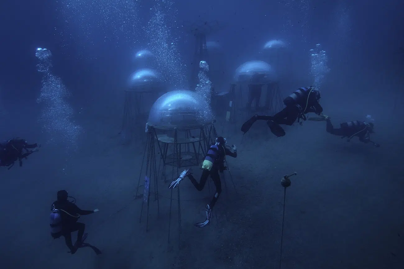 Underwater photo. 