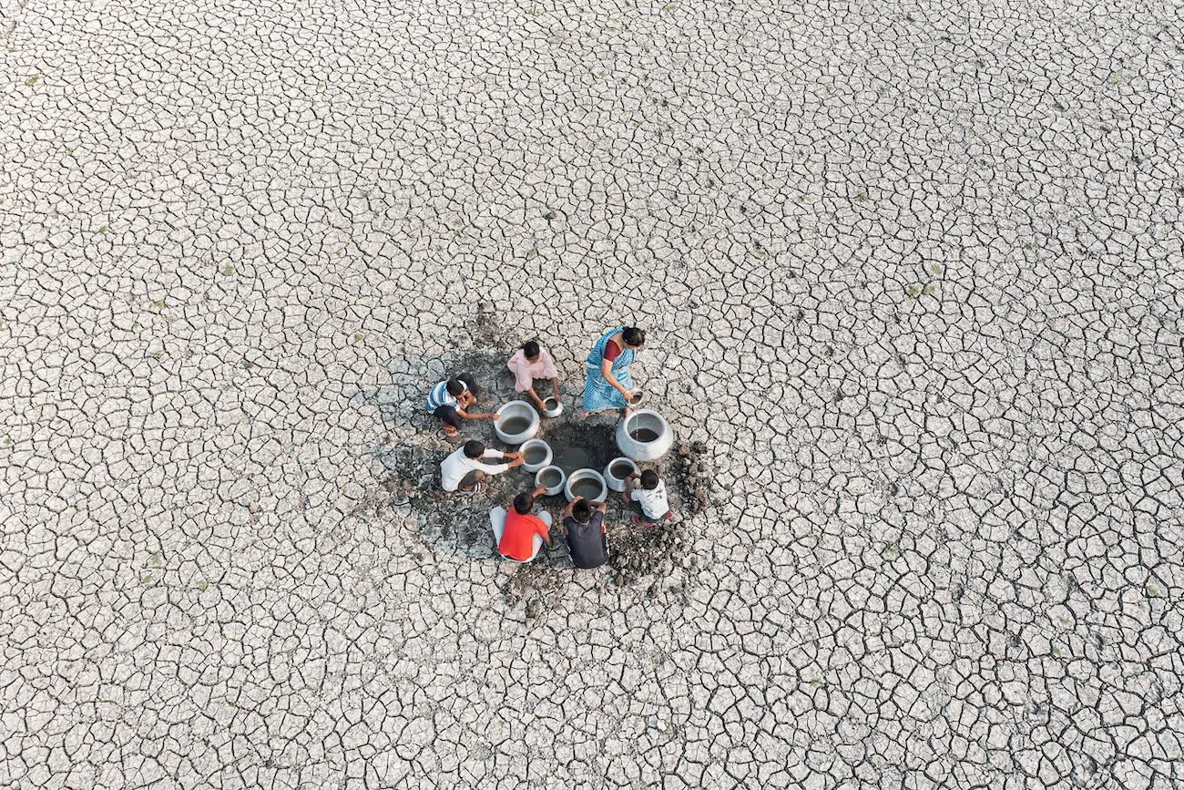 Wellcome Photography Prize 2025 winner