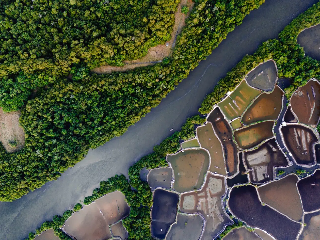 2026 Mangrove Photography Awards