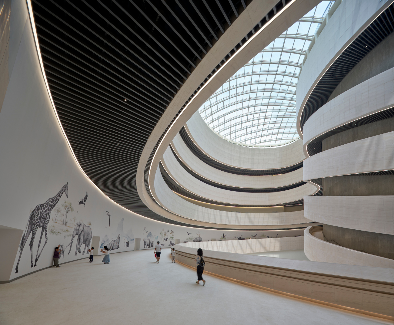Shenzhen Natural History Museum