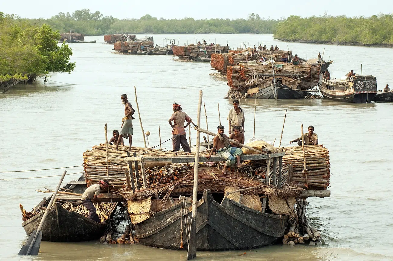 2026 Mangrove Photography Awards