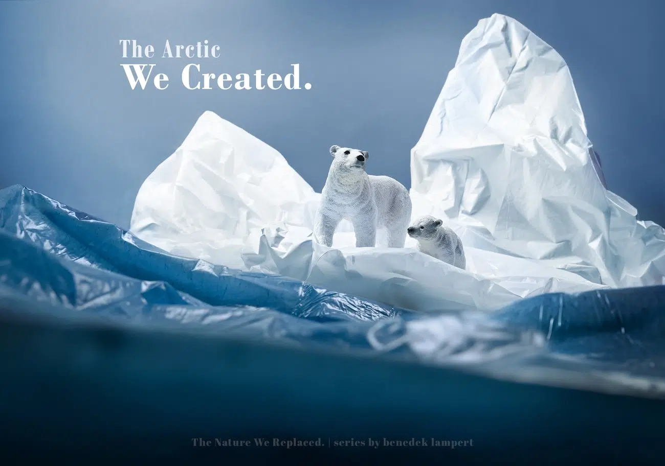 Polar Bear Standing Among Plastic Bag Arctic