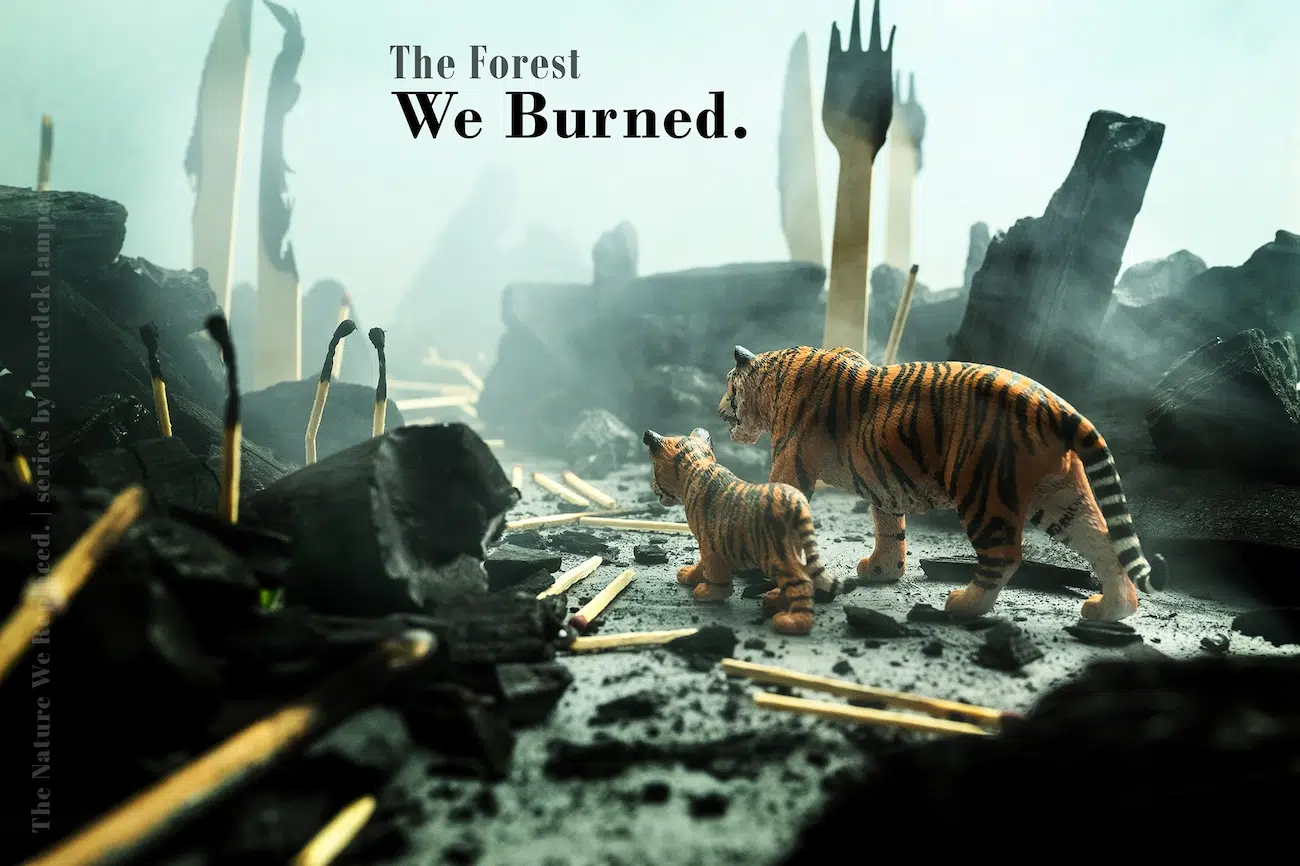 Toy Tigers Standing in Forest of Burnt Matches and Cutlery