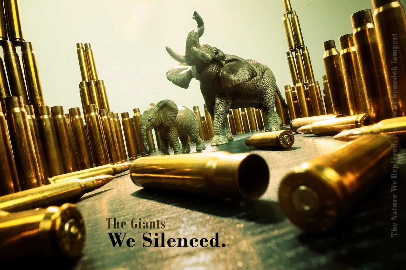Toy Elephant Standing Among Bullet Shell Casings