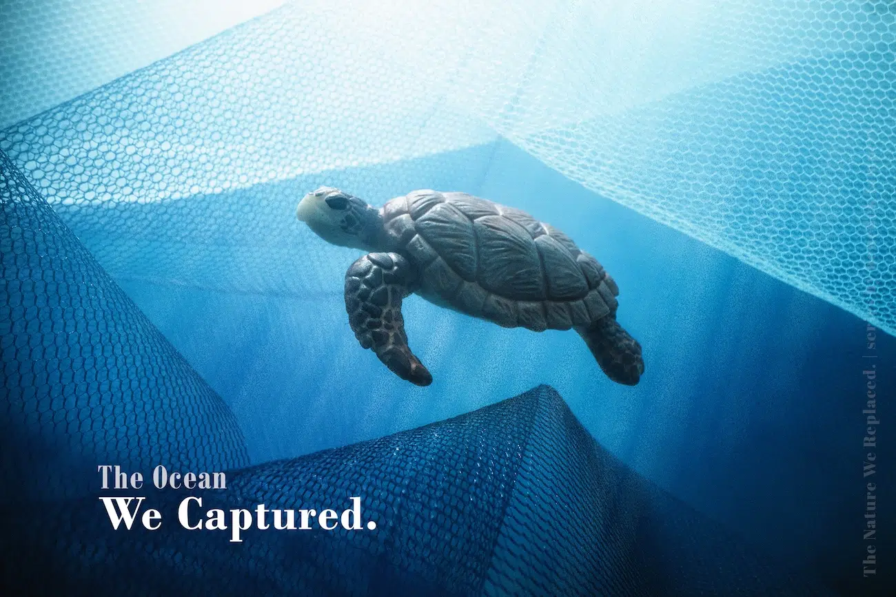 Miniature Toy Turtle Among Netting