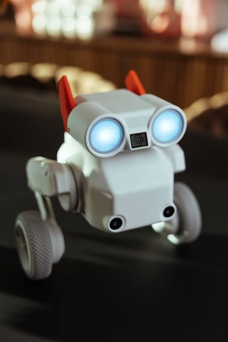 Beni the Traveling Camera Robot