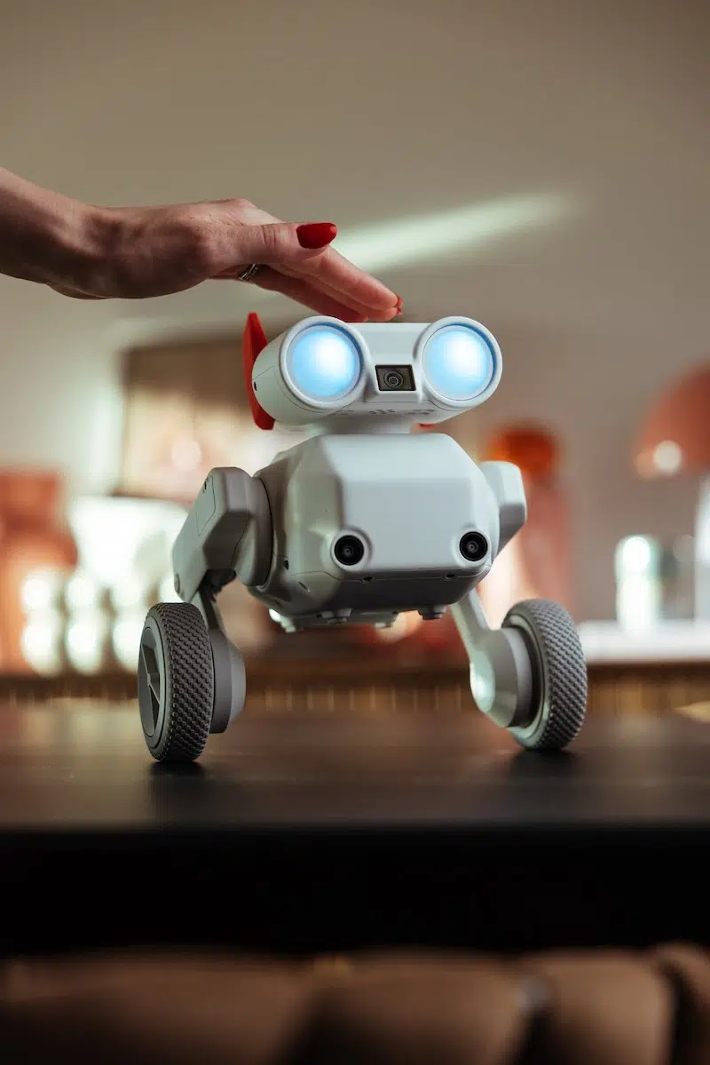 Beni the Traveling Camera Robot