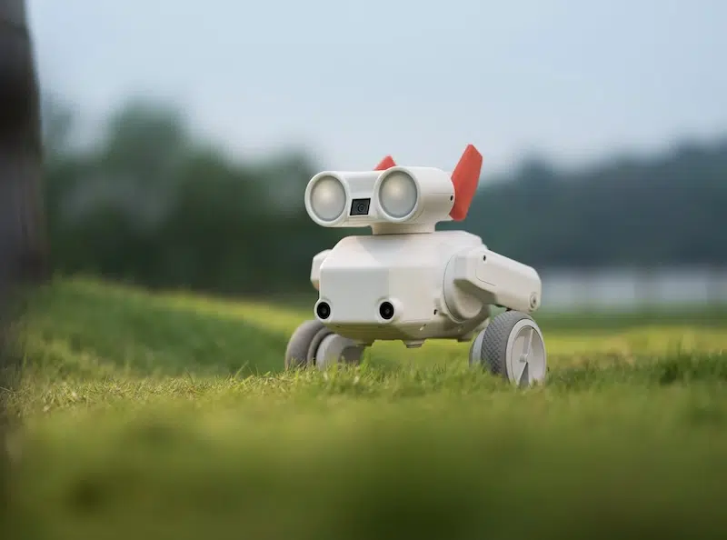 Beni the Traveling Camera Robot
