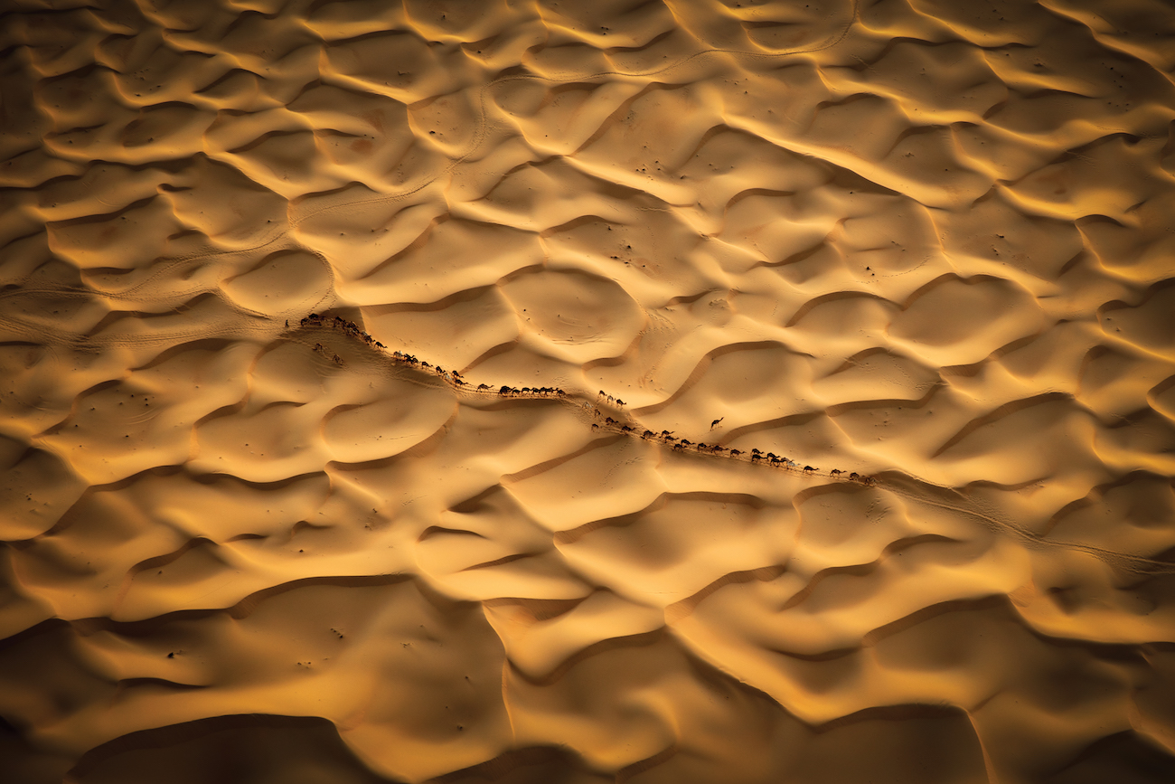 Stretch of sand in savanna desert, photograph by Bj&ouml;rn Persson. 