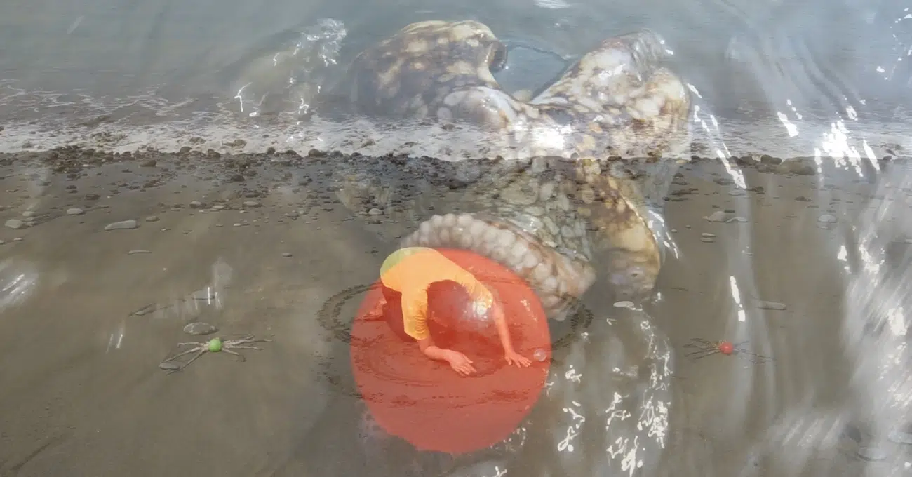 Eunji Cho, Octopusy Ecstasy, 2019, single-channel video, stereo sound, 8min 8sec, dimensions variable.