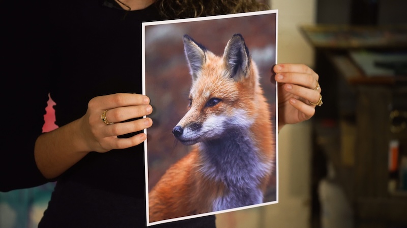 Artist Dimitra Milan Holding Photo of Fox