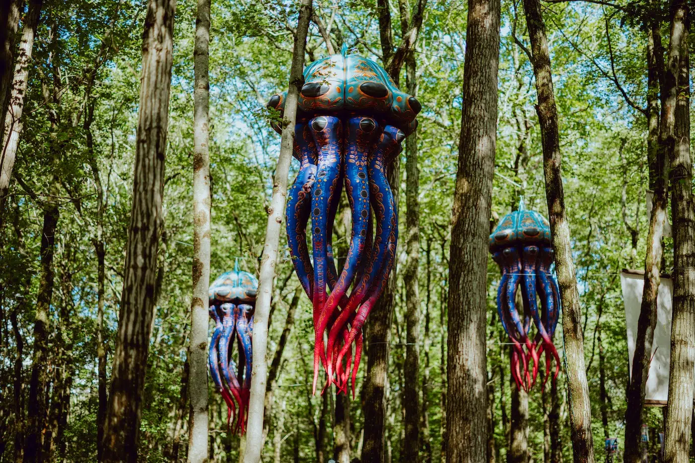 Elements Festival