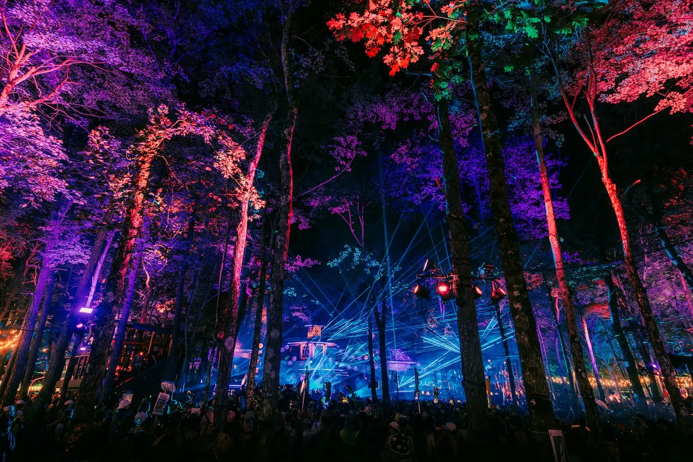 Elements Festival